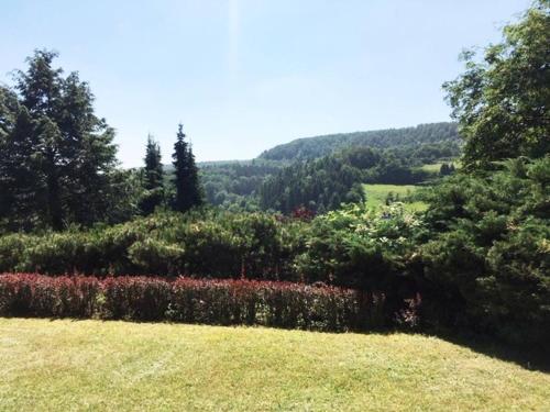 a view of a garden with flowers and trees at Ferienwohnung (70 qm) mit fantastischem Ausblick in Detmold