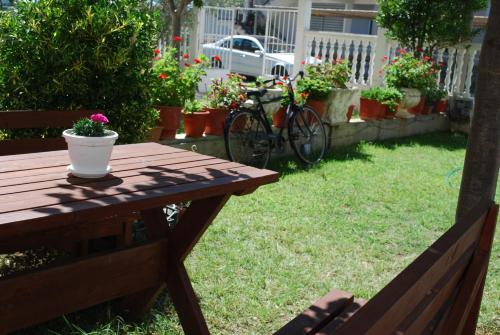 a wooden picnic table with a potted plant on it at Apartments Hotel AL&DE in Velipojë