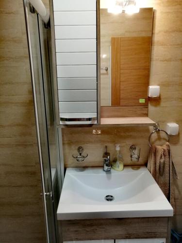a bathroom with a sink and a mirror at Apatman Sergej in Soko Banja