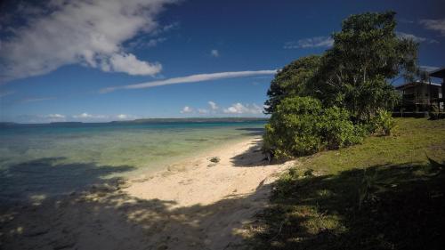 a view of a beach with trees and the ocean at Aore Breeze in Luganville