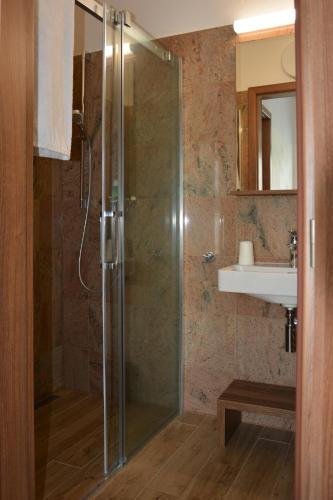 a bathroom with a shower and a sink at Na Zeleném statku in Rašovice