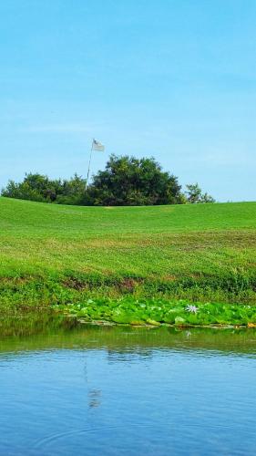 a grassy field with a flag in the middle of a river at Vipingo Ridge-Swahili Villa in Mombasa
