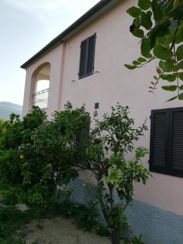 ein weißes Gebäude mit einem Baum davor in der Unterkunft casa Gaia 2 in Portoferraio
