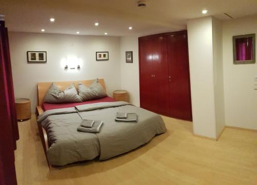 Una cama o camas en una habitación de Casa Cuschina - mit Sauna in der schönen Surselva