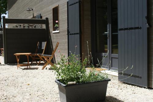 a patio with a table and a chair and a plant at DOMAINE DU BOIS SEGUIN in Saint-Loubert