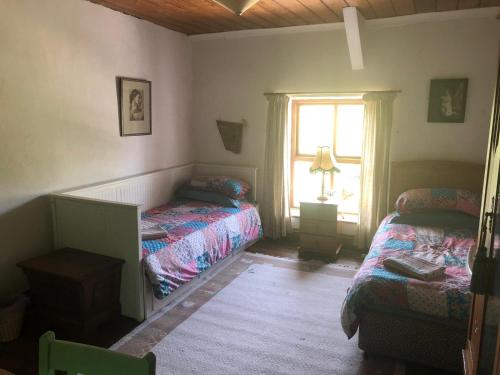 a bedroom with two beds and a window at Gernos Farmhouse in Llandysul