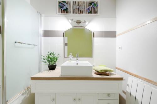 a bathroom with a sink and a mirror at :) Grand studio lumineux à Toulouse et parking in Toulouse