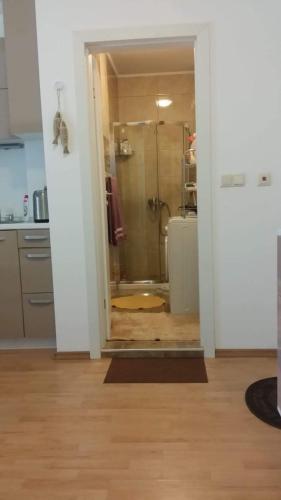 a bathroom with a shower and a glass door at Апартаменты Aphrodite Roce in Sunny Beach