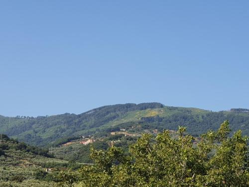 Vista generica sulle montagne o vista sulle montagne dall'interno del bed & breakfast