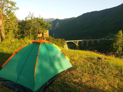 a green and orange umbrella sitting in a field at Kljajevica Orchard in Pljevlja