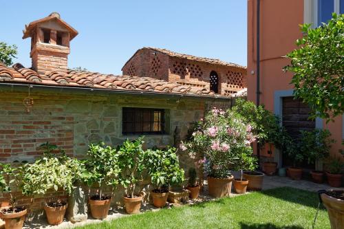 a row of potted plants in front of a building at Bed & Breakfast Bel Giorgio in Orentano