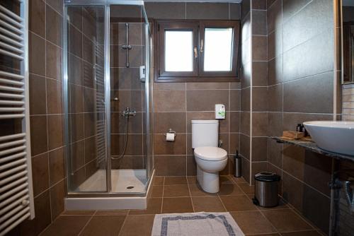 a bathroom with a toilet and a shower and a sink at Anavasi Mountain Resort in Pramanta