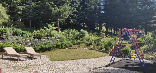 Un jardín fuera de Gościniec Saba