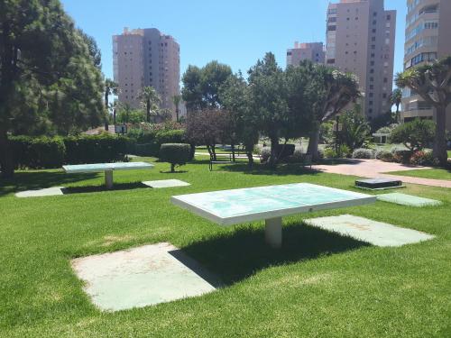 Vườn quanh Oasis Playamar