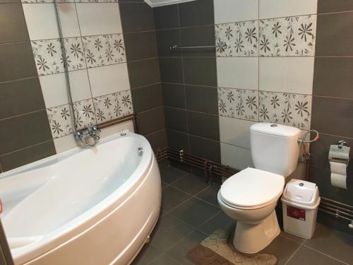 a bathroom with a tub and a toilet and a sink at La Teo in Măru