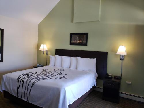 Postel nebo postele na pokoji v ubytování Sea Girt Lodge