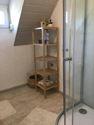 a bathroom with a shower and a book shelf at Ferienwohnung Elina in Maxhütte-Haidhof