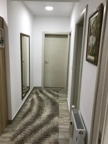 ein Flur mit einer Tür und einem Teppich in der Unterkunft Pavlović in Valjevo