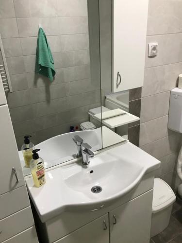 ein Badezimmer mit einem weißen Waschbecken und einer Toilette in der Unterkunft Pavlović in Valjevo