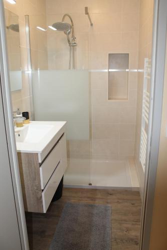 une salle de bain avec une douche, un lavabo et une baignoire dans l'établissement GITE clodeguy, à Saint-Sylvestre-sur-Lot