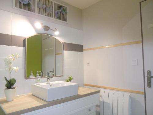 La salle de bains est pourvue d'un lavabo blanc et d'un miroir. dans l'établissement :) Grand studio lumineux à Toulouse et parking, à Toulouse