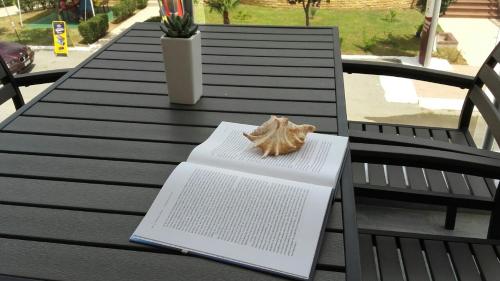 a book sitting on a table with a book at Vasilicos Sea Stay in Paralia Katerinis