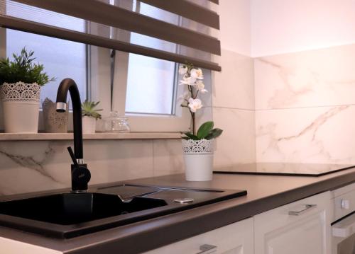 Kuchyňa alebo kuchynka v ubytovaní Apartman Muracca