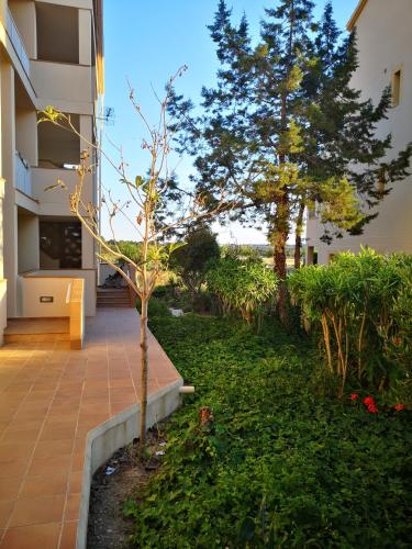Jardí fora de Marina 1