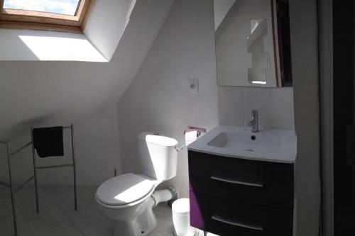 a bathroom with a white toilet and a sink at Gîte Le Valet, T2 classé 3 étoiles, entre Rennes et Saint-Malo in La Chapelle-aux-Filzméens
