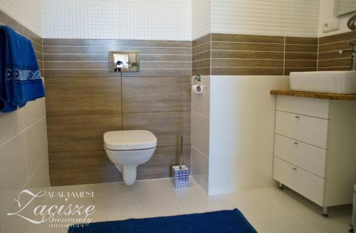 a bathroom with a toilet and a sink at Apartament Zacisze in Uherce Mineralne