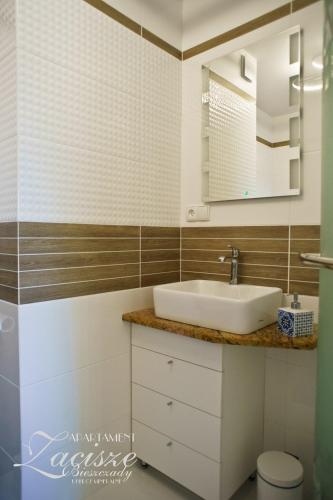 a bathroom with a sink and a mirror at Apartament Zacisze in Uherce Mineralne