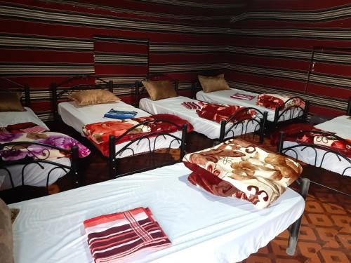 Letto o letti in una camera di Bedouin Tours Camp