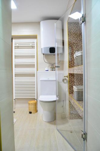 a bathroom with a toilet and a glass door at Kaya Home in Sibiu