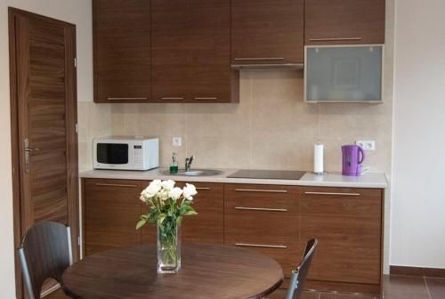 Kuchyň nebo kuchyňský kout v ubytování Apartamenty Giżycko