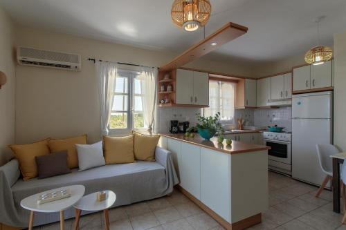Dapur atau dapur kecil di Salty Apartments Sea View Naxos
