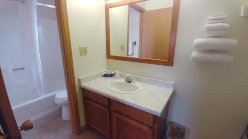 a bathroom with a sink and a toilet and a mirror at Blue Pine Motel in Panguitch