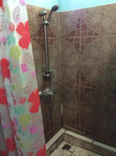a shower in a bathroom with a shower curtain at Simplicité Marquises in Atuona