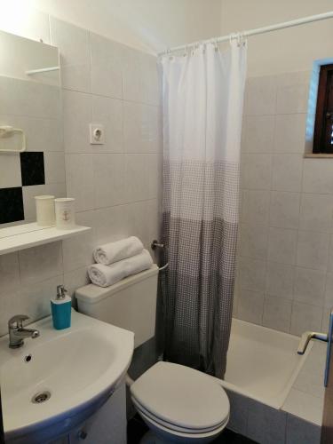 a bathroom with a toilet and a sink and a shower at Apartments and Room Caric in Jelsa