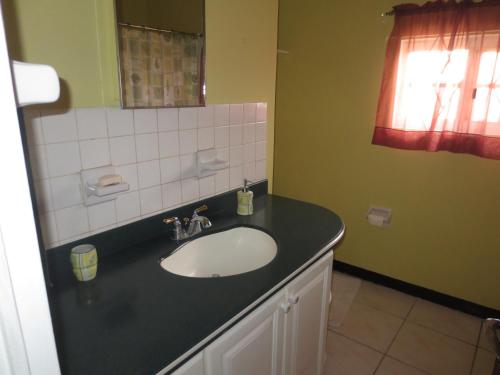 uma casa de banho com um lavatório e um espelho em Chateau Yellow em Mandeville