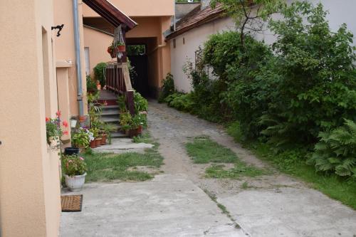 Κήπος έξω από το Elekes Apartmans