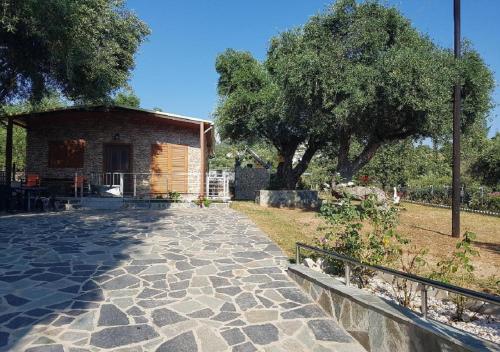 a stone walkway in front of a house with trees at Studio Foris in Sivota