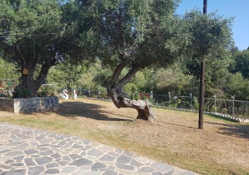 a tree in a park next to a fence at Studio Foris in Sivota