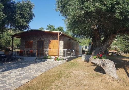 a small house with a tree in front of it at Studio Foris in Sivota