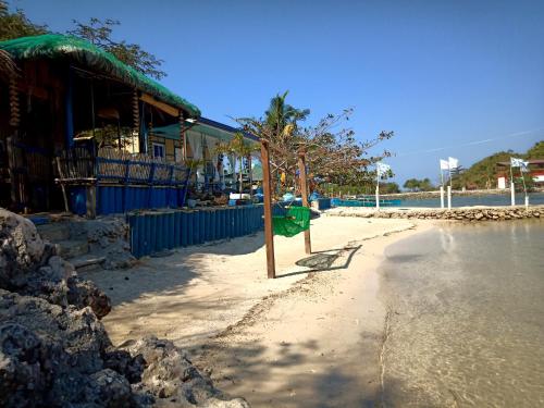a small tree on the beach next to a building at Bolo Beach Santorini nearby to Hundred Island in Alaminos
