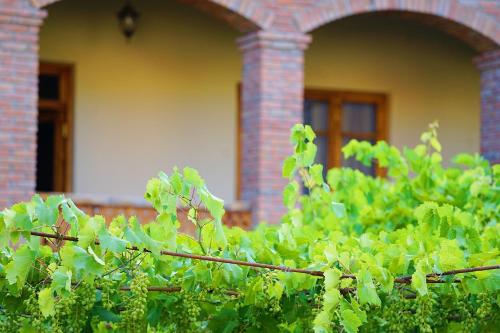 a bush in front of a house with a window at Hotel Magdalena in Mtskheta