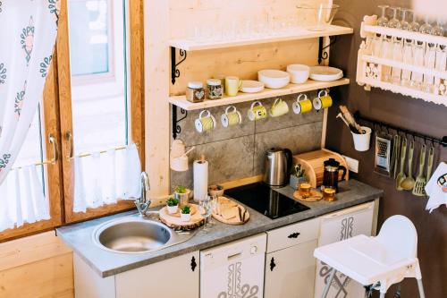 a tiny kitchen with a sink and a counter top at Czarna Owca in Kościelisko