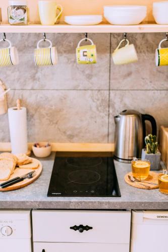 a kitchen counter with a stove with a pot on it at Czarna Owca in Kościelisko