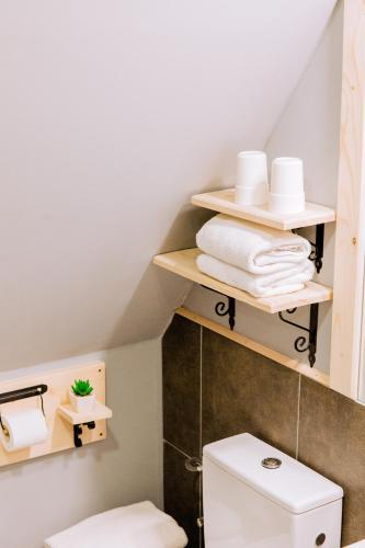 a bathroom with a toilet and towels on shelves at Czarna Owca in Kościelisko