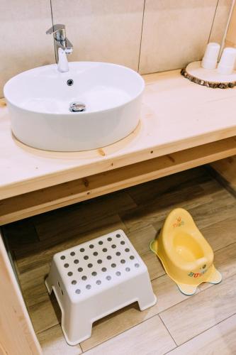 a bathroom counter with a sink and a dog scale at Czarna Owca in Kościelisko