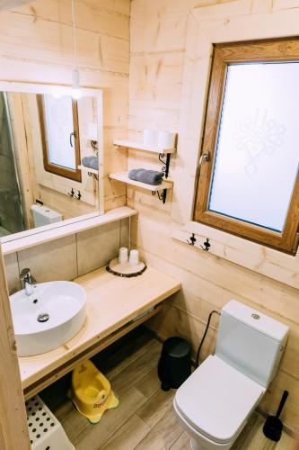 a bathroom with a sink and a toilet and a mirror at Czarna Owca in Kościelisko